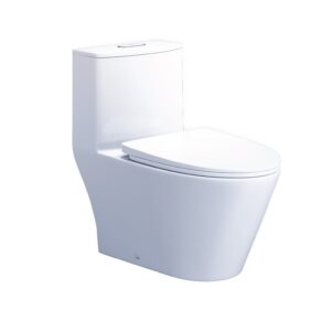 Bàn cầu một khối CD1363