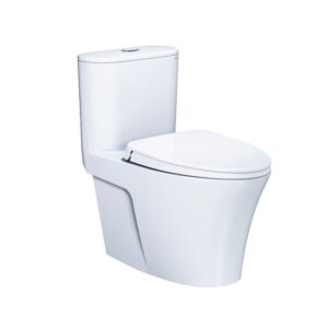 Bàn Cầu Một Khối Nắp Êm - CD1395