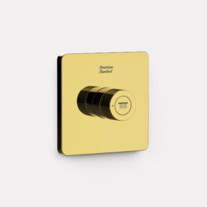 Nút điều chỉnh cho đầu sen EasySet Màu vàng đồng