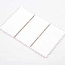 GẠCH THẺ ỐP TƯỜNG MÀU TRẮNG MỜ MEN KHÔ 100X200 M1200Y