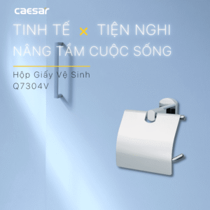 Hộp Giấy Vệ Sinh - Q7304V