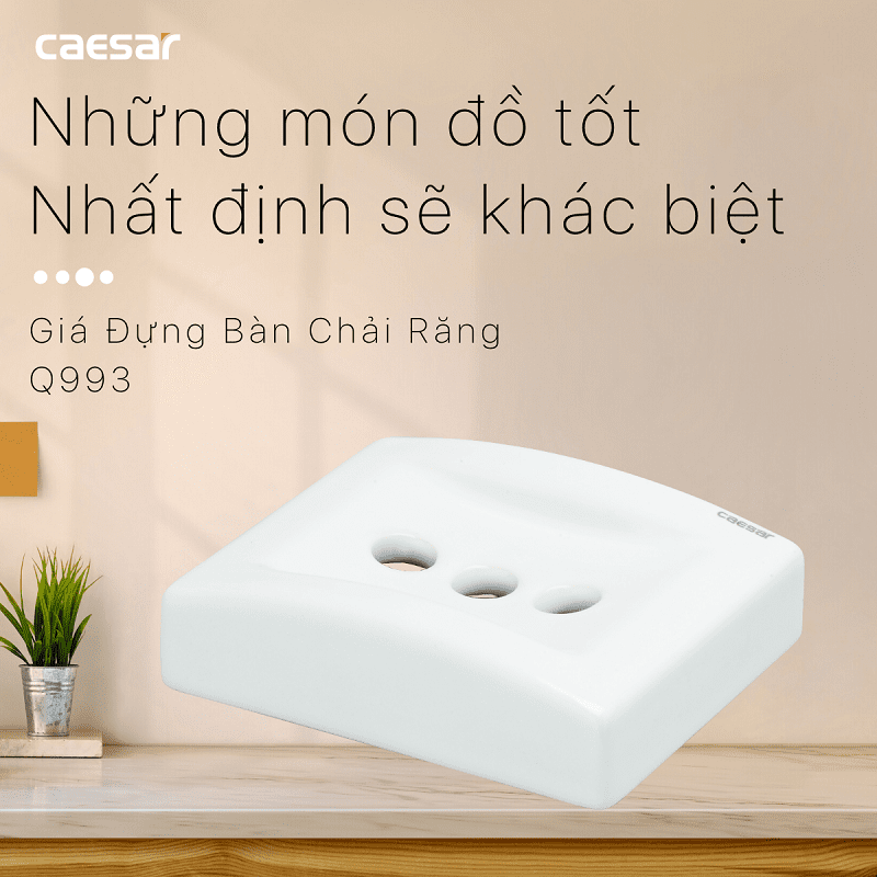 Giá Đựng Bàn Chải Răng - Q993