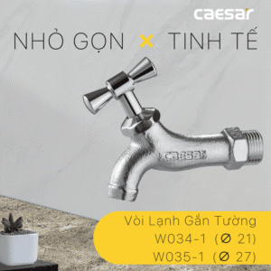 Vòi Lạnh Gắn Tường Xi - W034-1