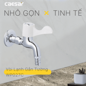 Vòi Lạnh Gắn Tường - WP027C