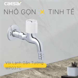 Vòi Lạnh Gắn Tường - WP037C