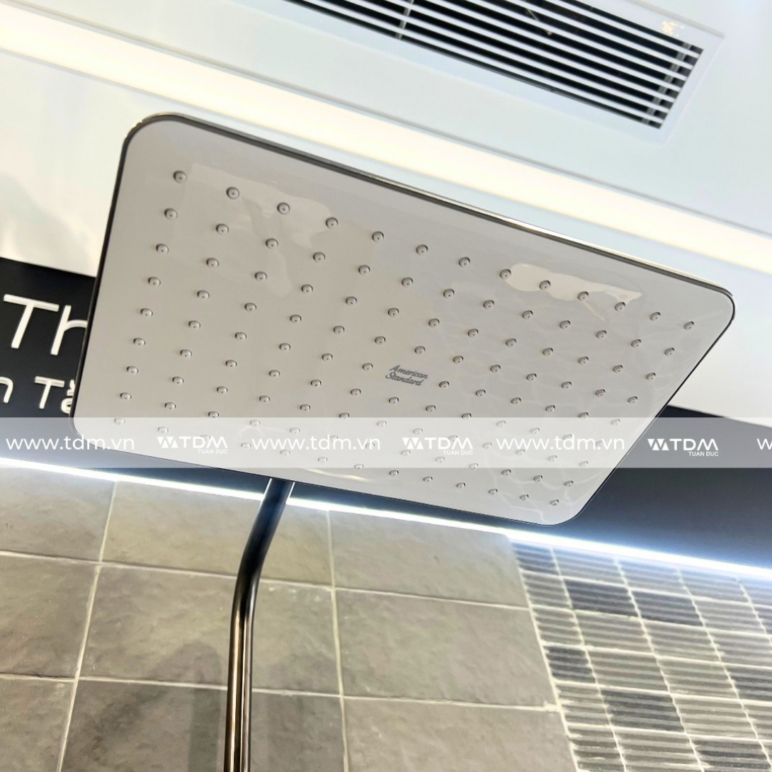 Sen Cây Nhiệt Độ American Standard WF-4956HG (WF4956HG) Màu Xám Đen - Ảnh 4