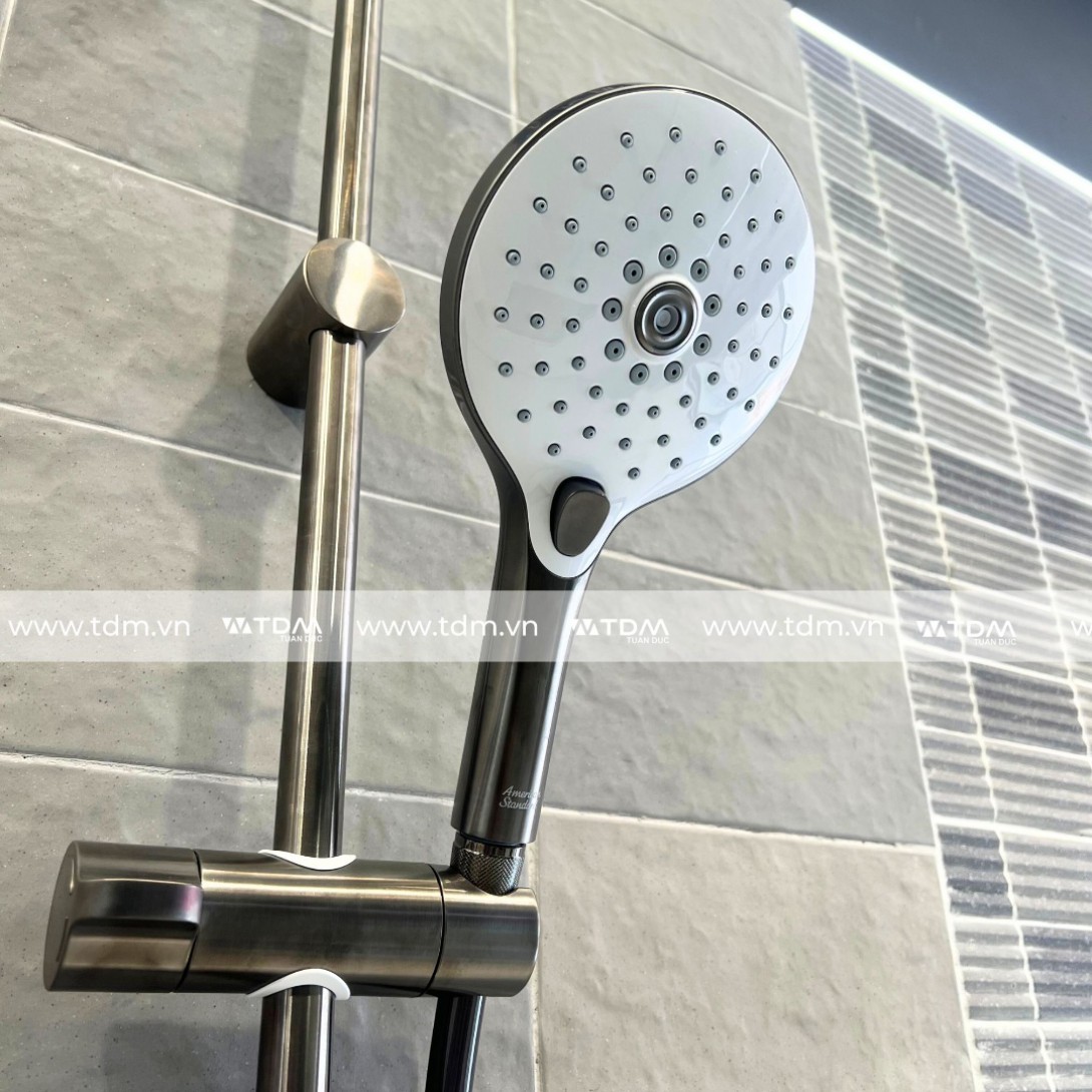 Sen Cây Nhiệt Độ American Standard WF-4956HG (WF4956HG) Màu Xám Đen - Ảnh 5