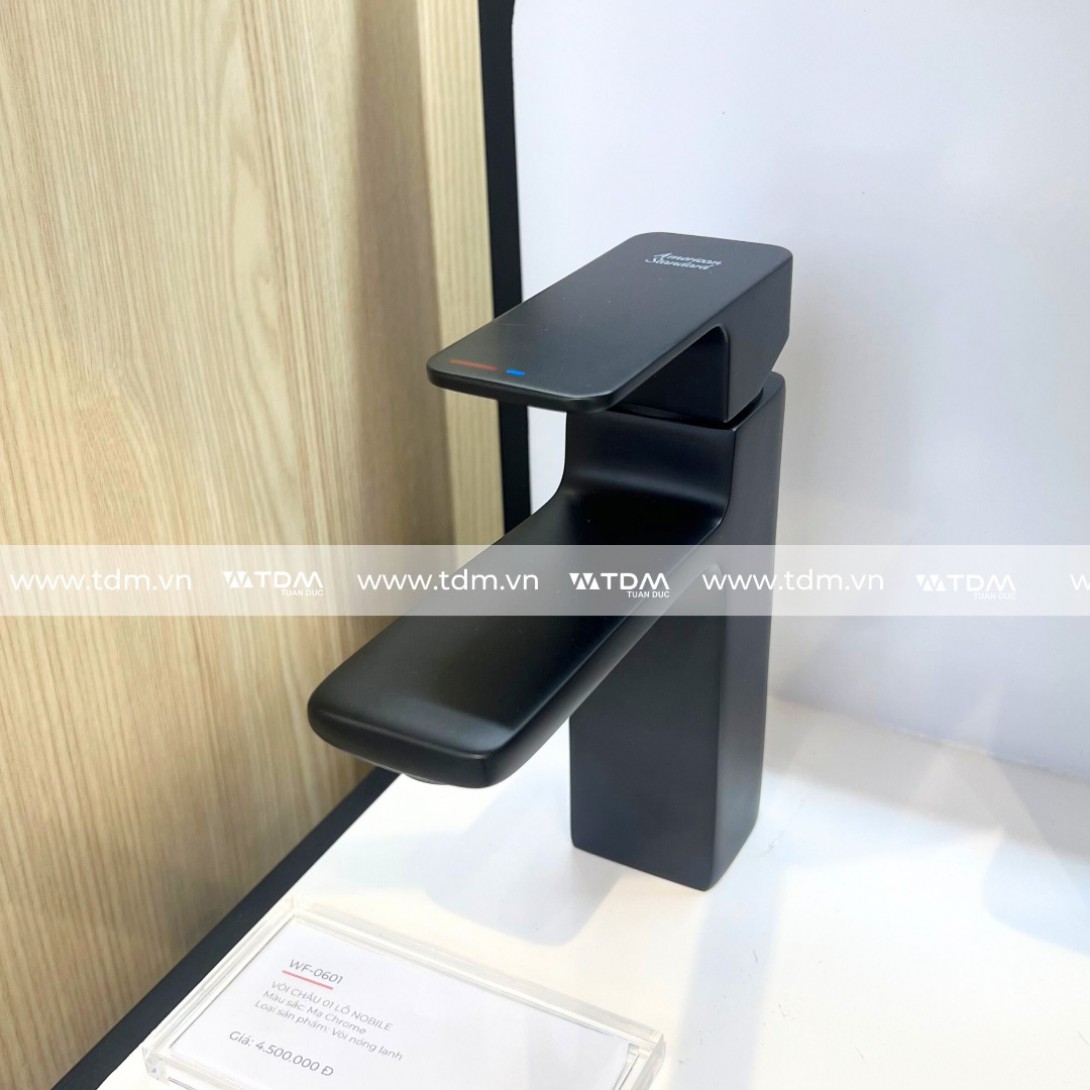 Vòi Lavabo American Standard WF-1301MB (WF1301MB) Nóng Lạnh Màu Đen - Ảnh 5