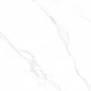 AZ6 GP8801/ AZ6 GM8801