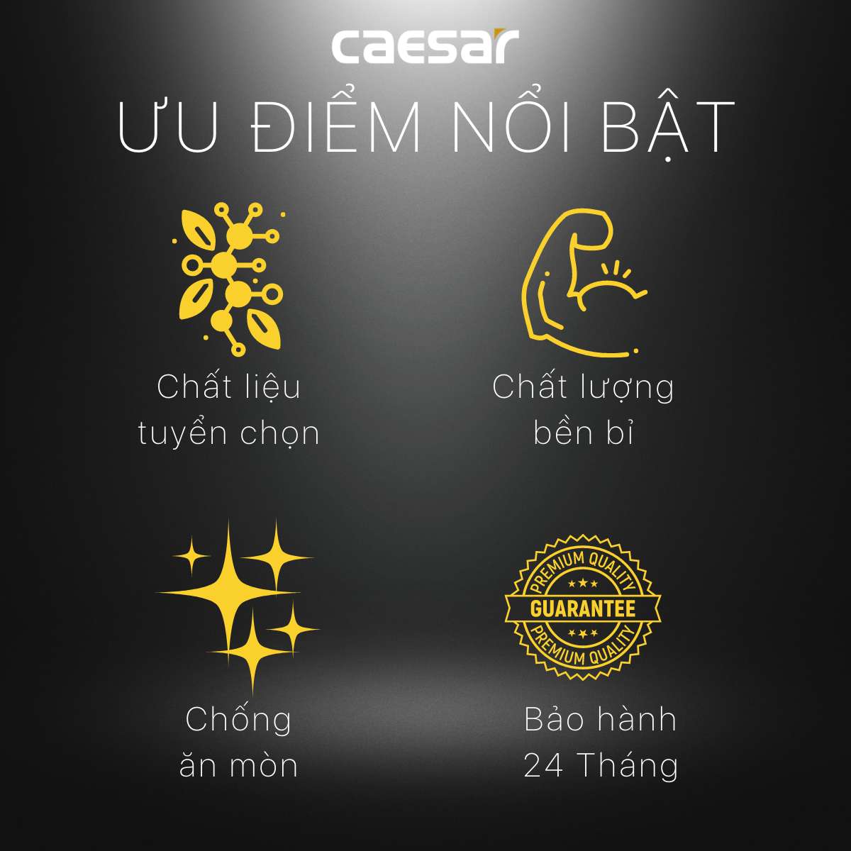 Bộ xả nhấn Caesar BF605 - Ảnh 6