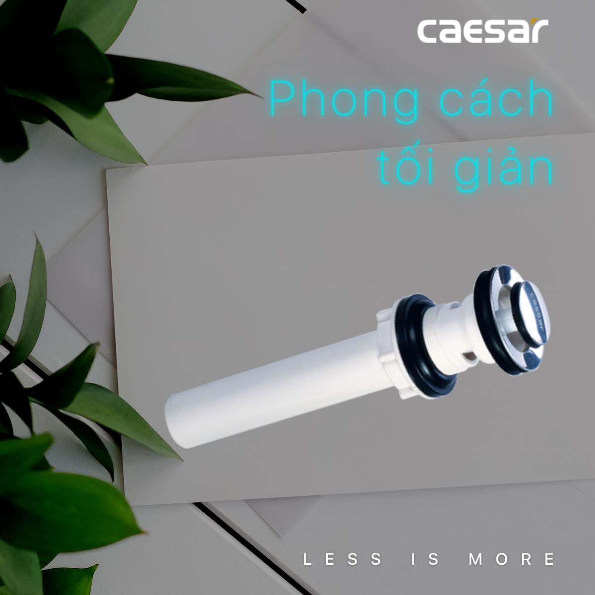 Bộ xả nhấn Caesar BF605 - Ảnh 8