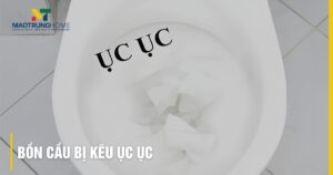 Bồn cầu bị kêu ục ục: 5 nguyên nhân và cách xử lý dứt điểm tại nhà