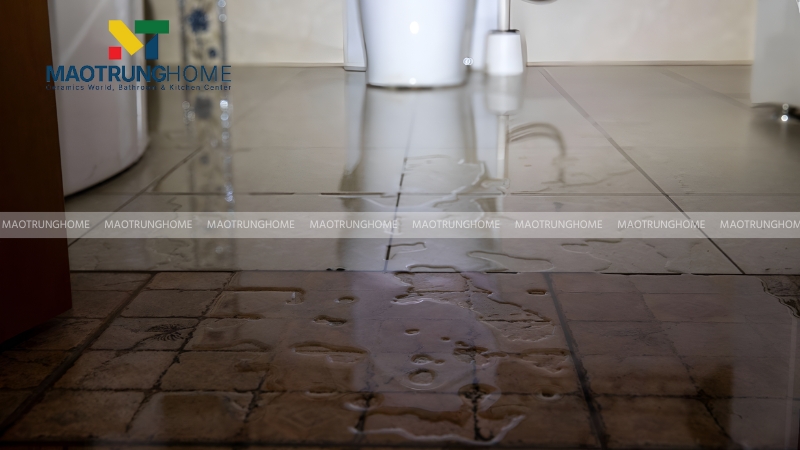 Dấu hiệu nhận biết chính xác tình trạng bồn cầu bị trào ngược