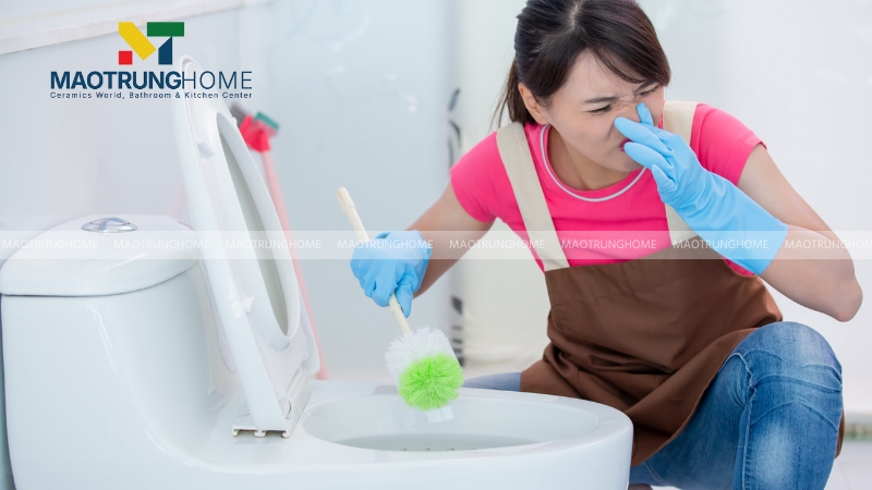 Dấu hiệu cho thấy bể phốt (hầm cầu) bị đầy