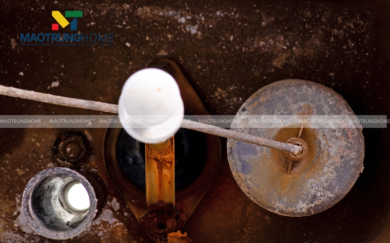 Toàn bộ bộ xả bồn cầu đã quá cũ và xuống cấp