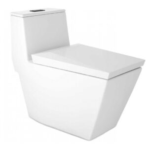 Bồn Cầu 1 khối COTTO C102807 Xả Nhấn