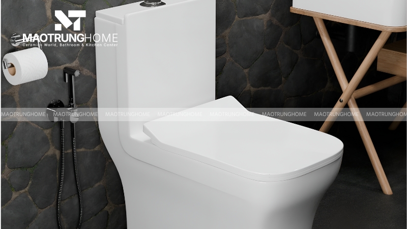 Bồn cầu 1 khối (bồn cầu liền khối)