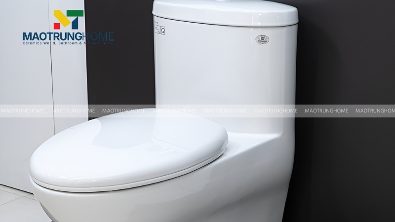 Phân khúc bồn cầu phổ thông