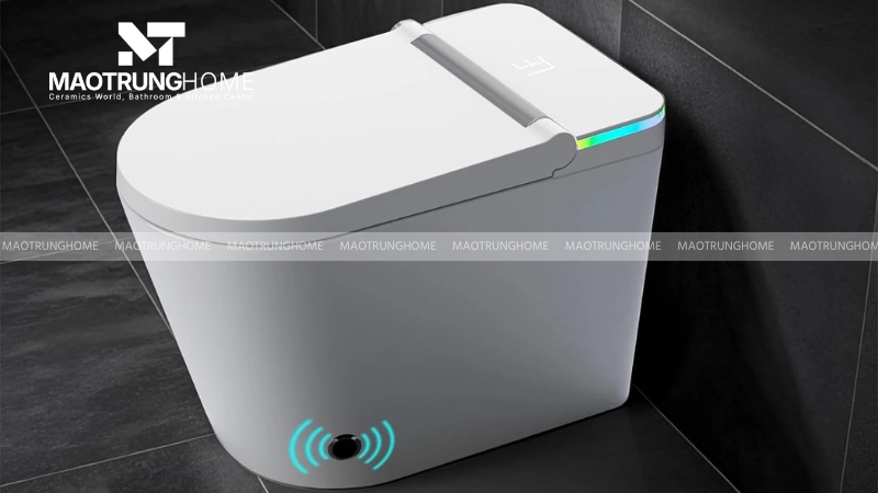 Bồn cầu thông minh (nắp rửa điện tử)