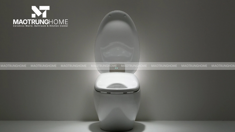 Phân khúc bồn cầu cao cấp