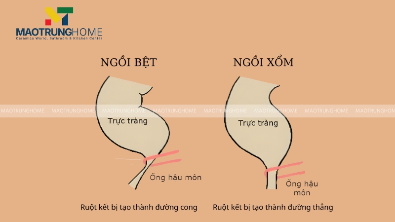 Tư thế ngồi xổm tạo ra một góc hoàn hảo cho việc đào thải