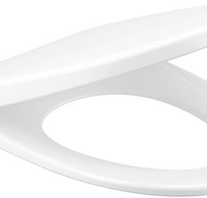 C91252 - Nắp bồn cầu COTTO