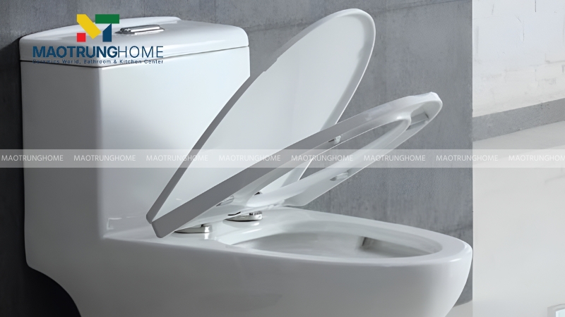 Đánh giá chất lượng phụ kiện (nắp, bộ xả)