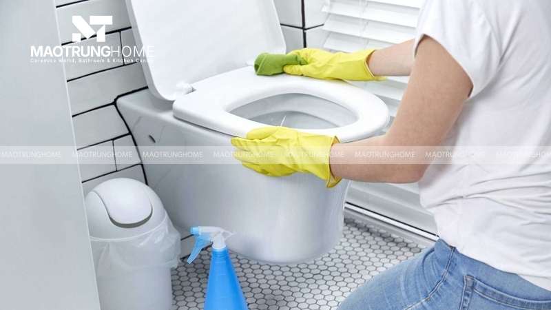 Thay thế nắp bồn cầu mới