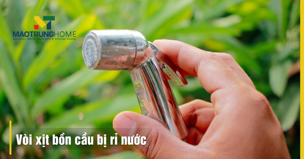 Cách sửa bồn cầu bị rỉ nước