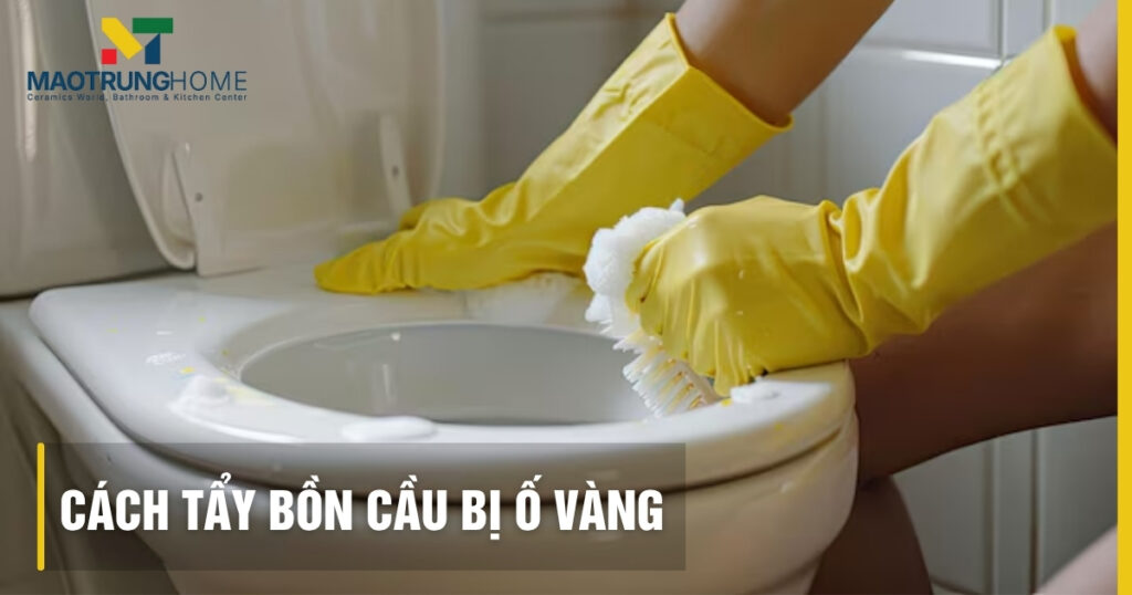 Cách tẩy bồn cầu bị ố vàng lâu ngày: Mẹo và giải pháp triệt để
