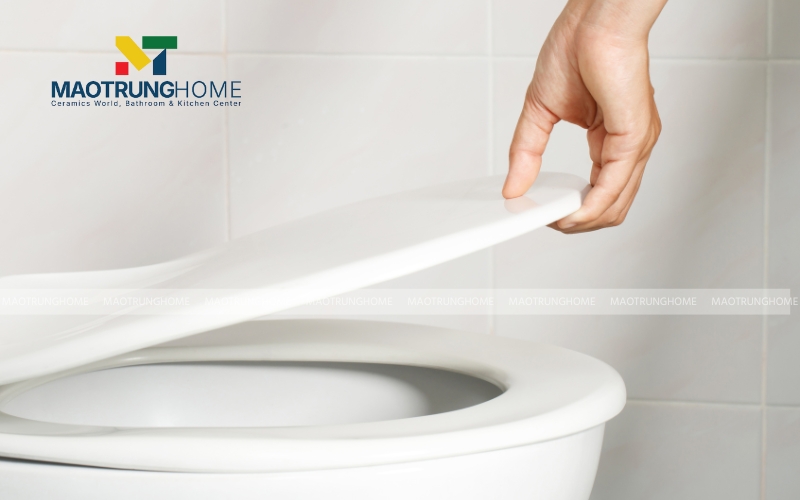 Cách tháo nắp bồn cầu TOTO loại thường và nắp đóng êm