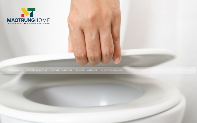 Nâng cấp trải nghiệm với các dòng nắp TOTO chính hãng