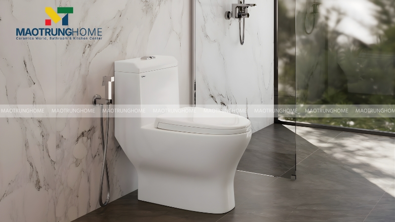 Vệ sinh đúng cách có thể giúp tăng tuổi thọ bồn cầu