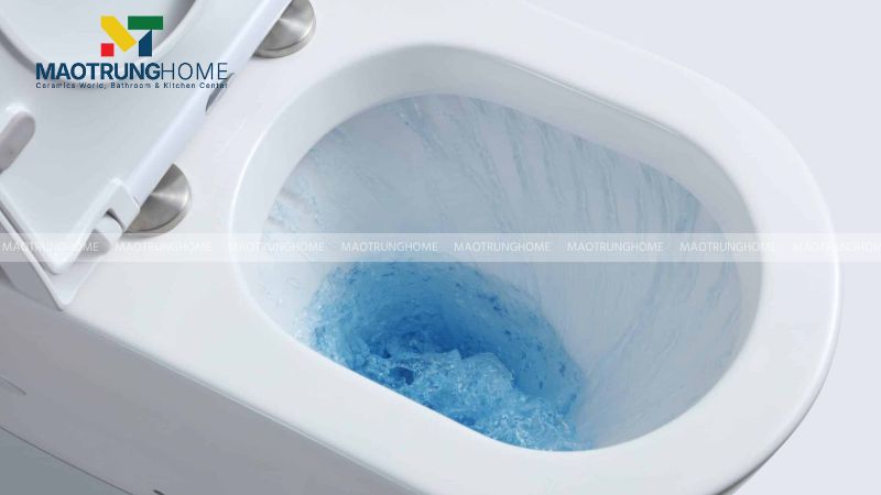 Hầu hết các bồn cầu hiện đại dựa trên hiệu ứng Siphon