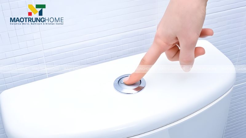 Nút nhấn hoặc tay gạt có chức năng kích hoạt van xả