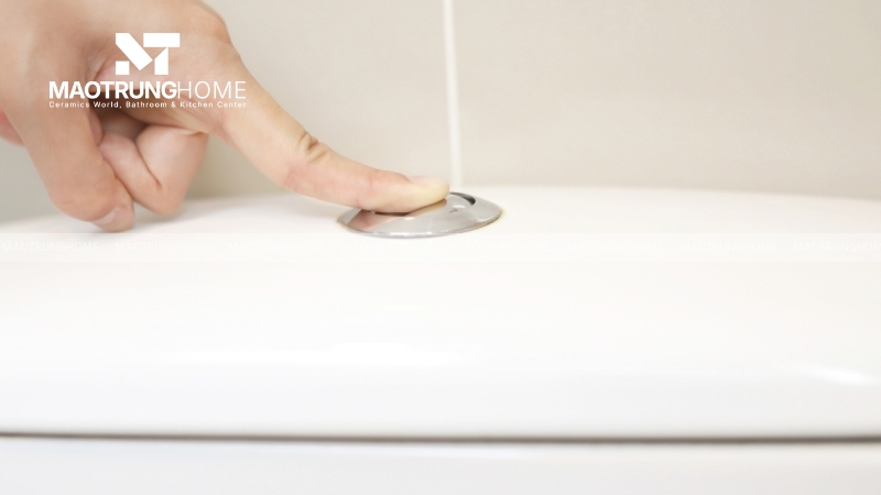 Nút nhấn xả hoặc tay gạt