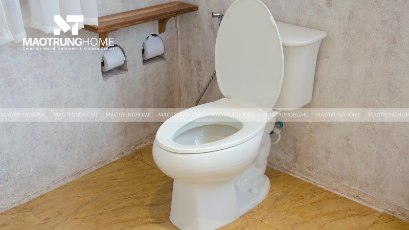 Nguyên lý hoạt động của bồn cầu Viglacera