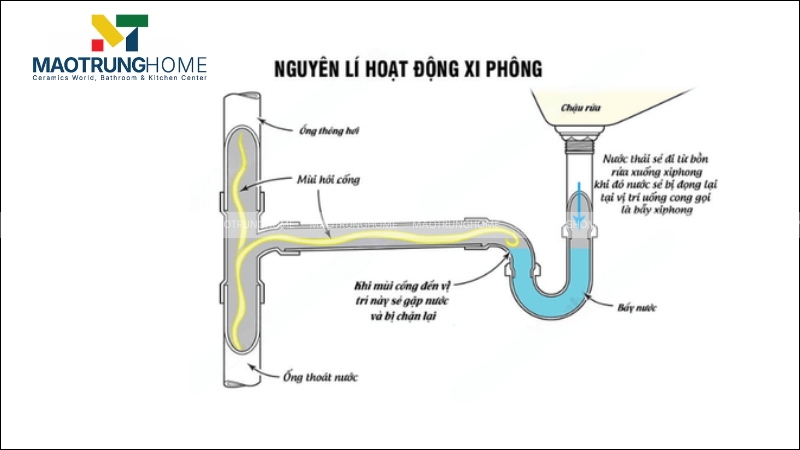 Nguyên lý hoạt động của xi phông chống mùi