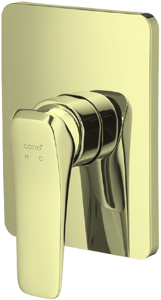 CT2303A#GR2 - Củ sen tắm nóng lạnh âm tường X-POSH