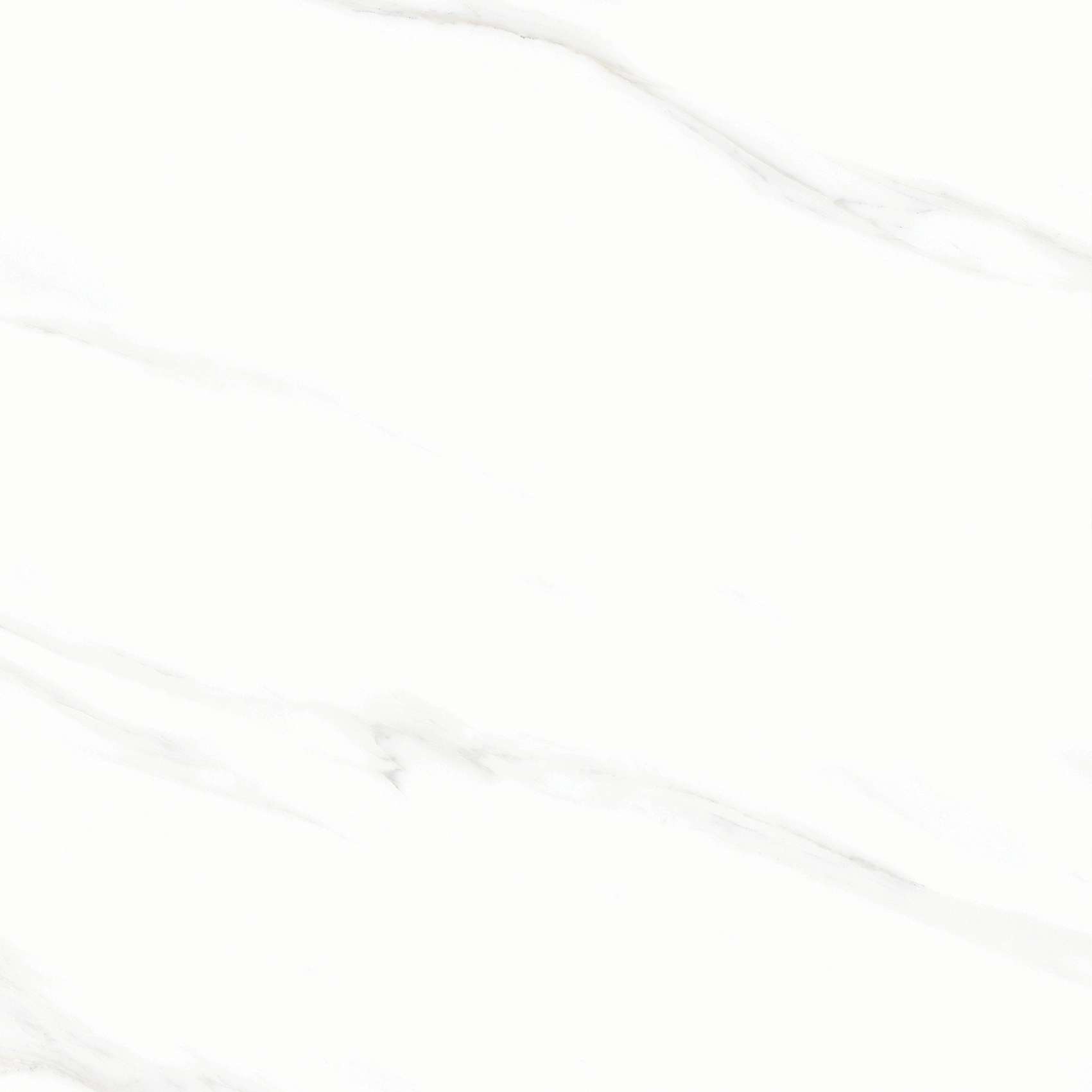 FL3 GP6601/ FL3 GP8801 - Ảnh 2