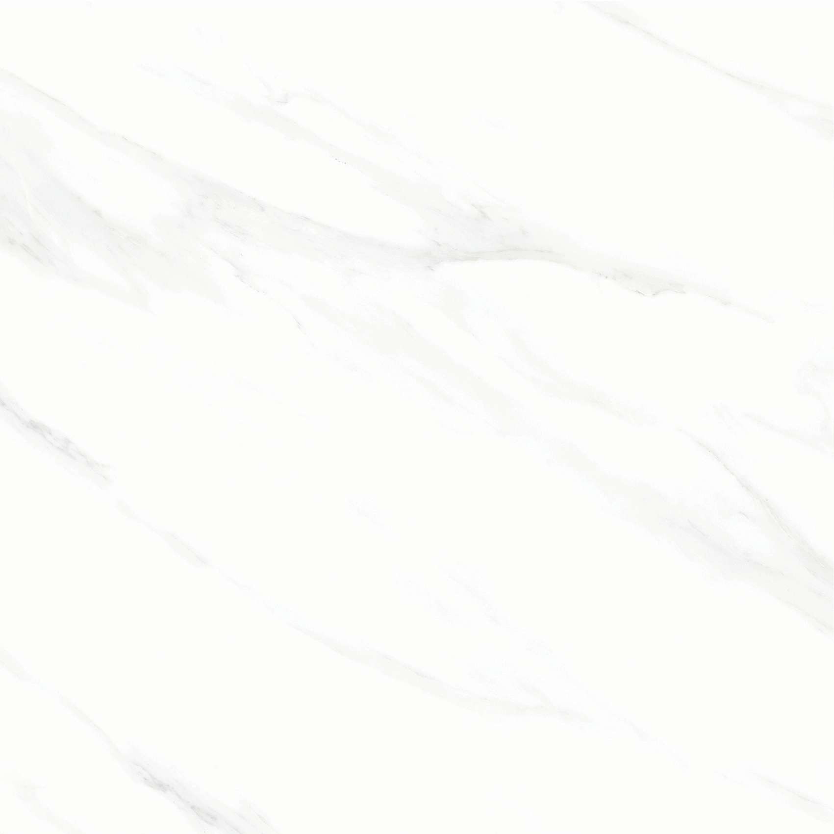 FL3 GP6601/ FL3 GP8801 - Ảnh 3