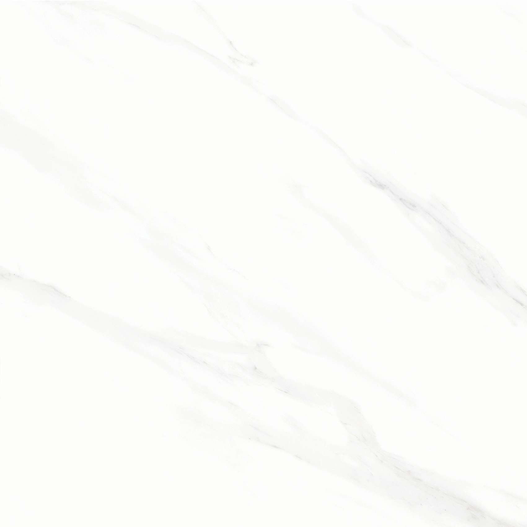 FL3 GP6601/ FL3 GP8801 - Ảnh 4