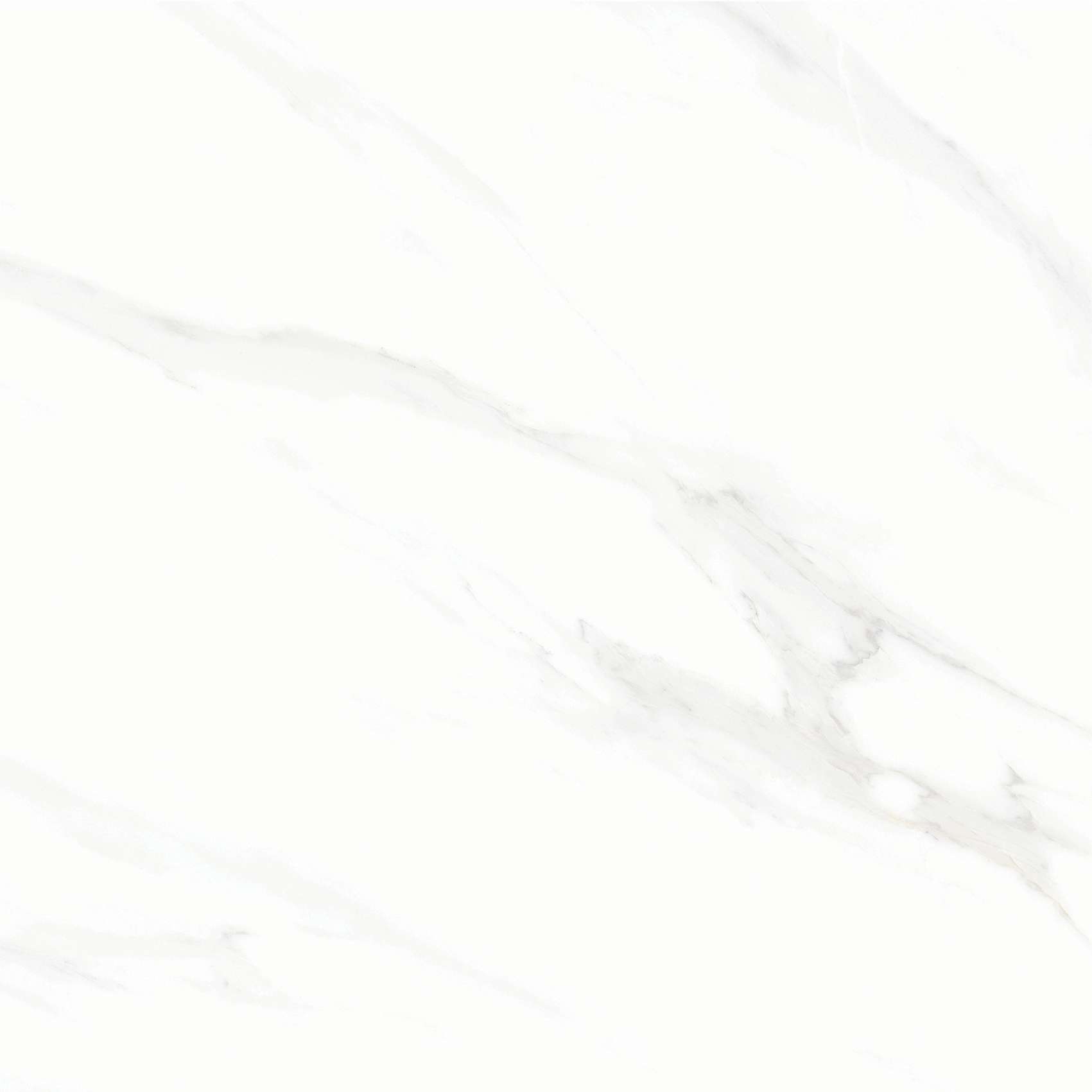 FL3 GP6601/ FL3 GP8801 - Ảnh 5