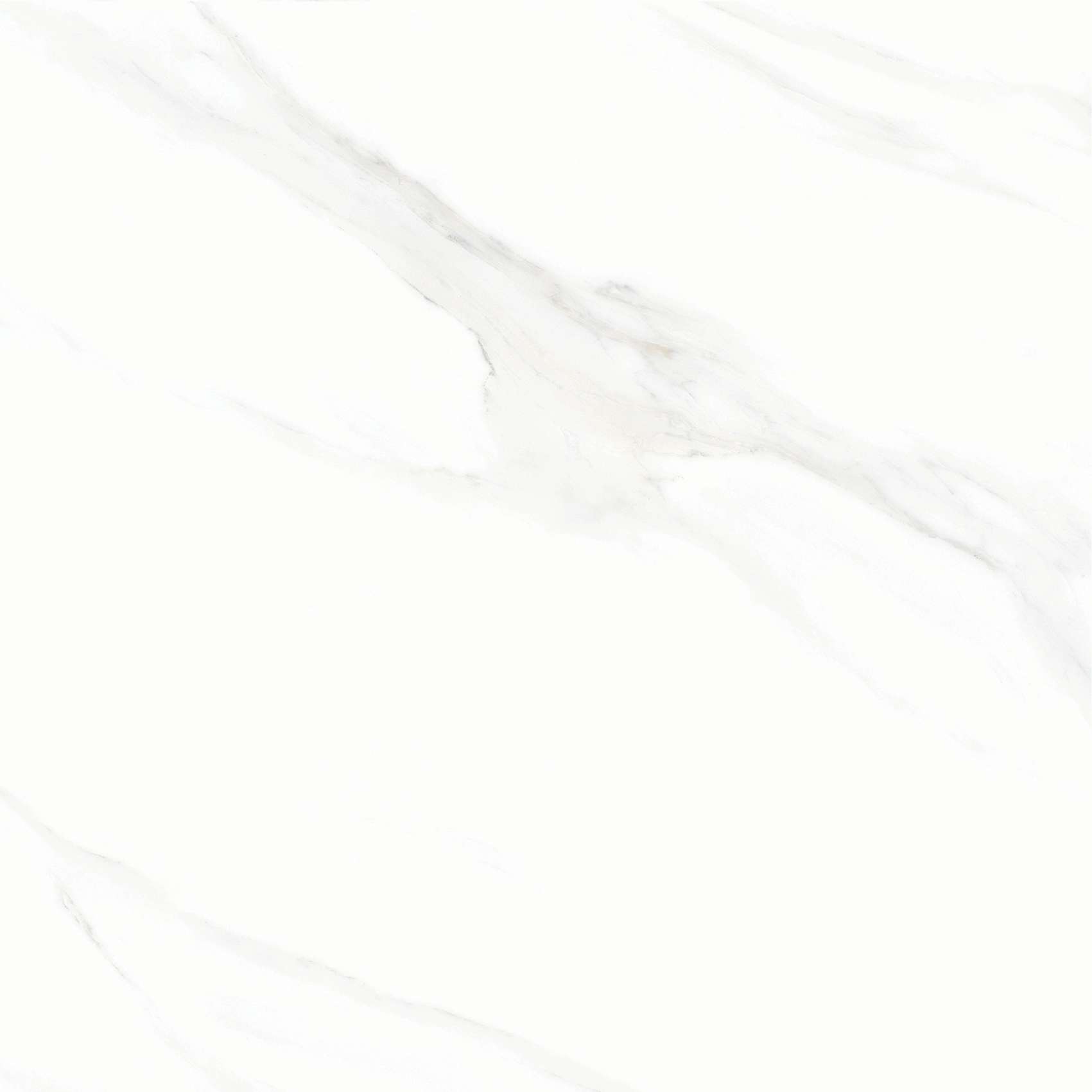 FL3 GP6601/ FL3 GP8801 - Ảnh 6