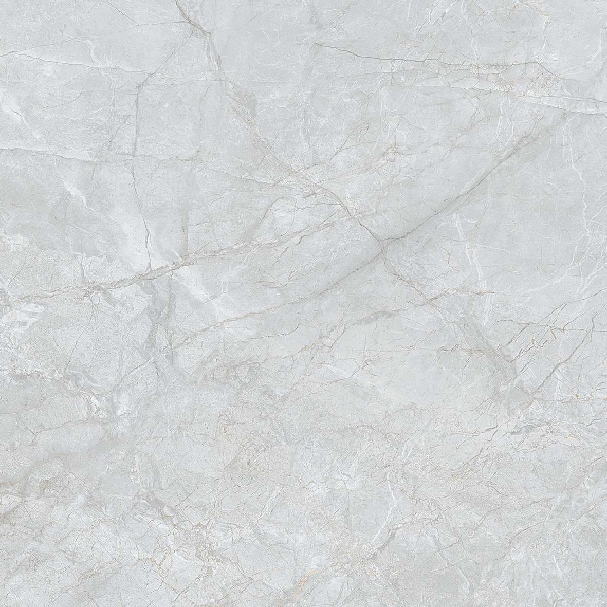 FL7 GP6601/ FL7 GP8801 - Ảnh 2