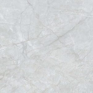 FL7 GP6601/ FL7 GP8801