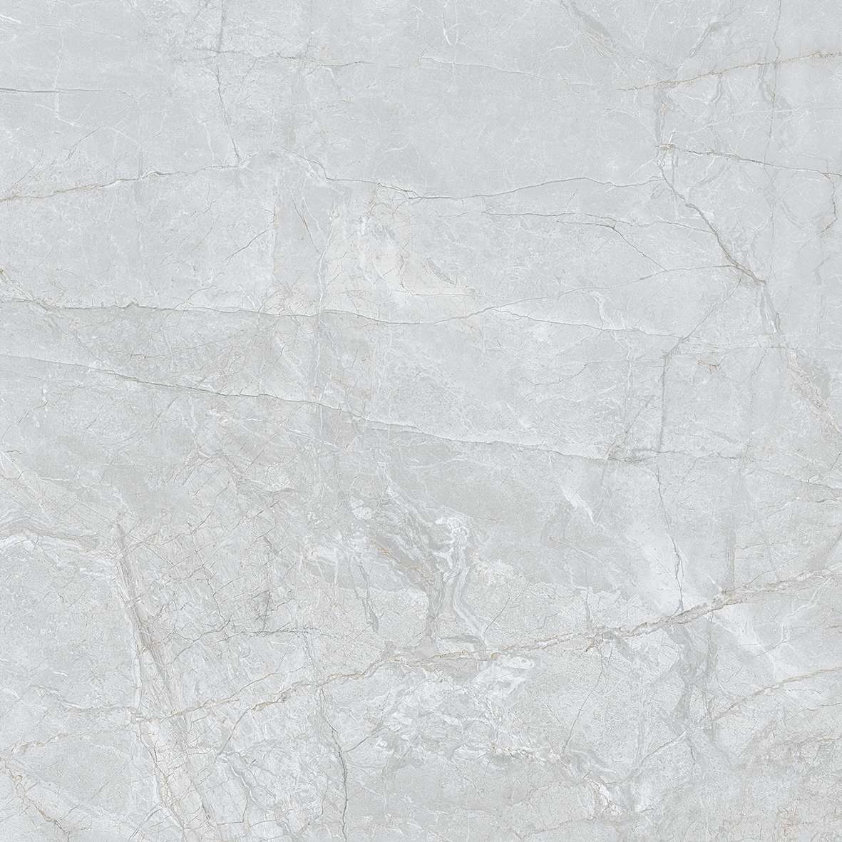 FL7 GP6601/ FL7 GP8801 - Ảnh 3