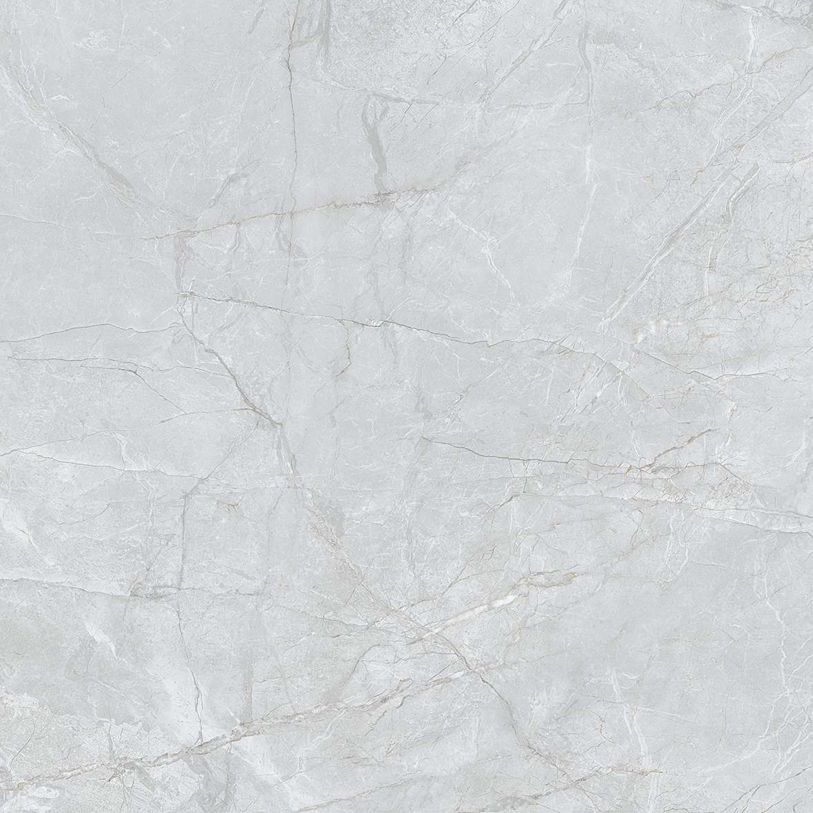 FL7 GP6601/ FL7 GP8801 - Ảnh 4