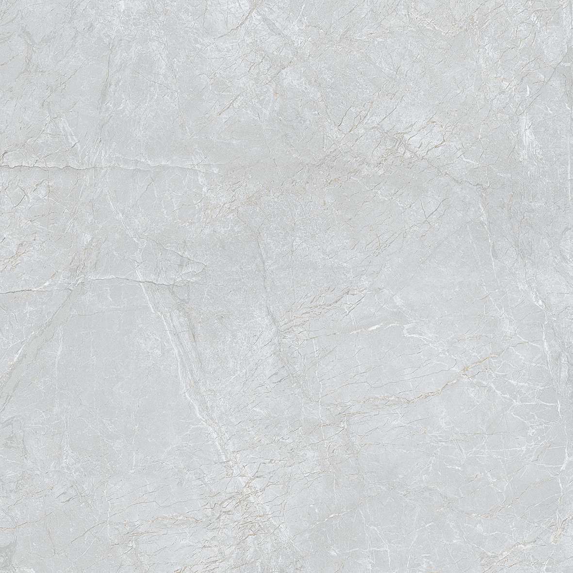 FL7 GP6601/ FL7 GP8801 - Ảnh 5