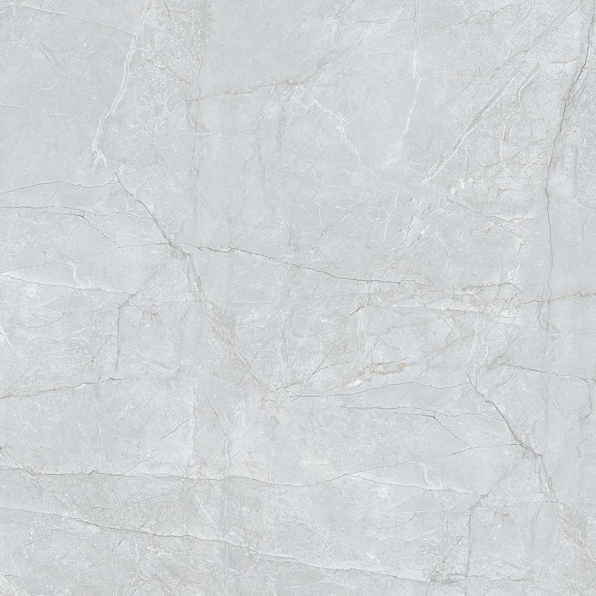 FL7 GP6601/ FL7 GP8801 - Ảnh 6